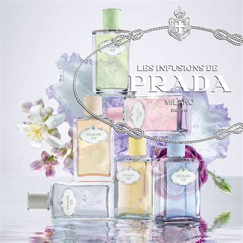 prada les infusions d'iris|prada infusion d'iris discontinued.